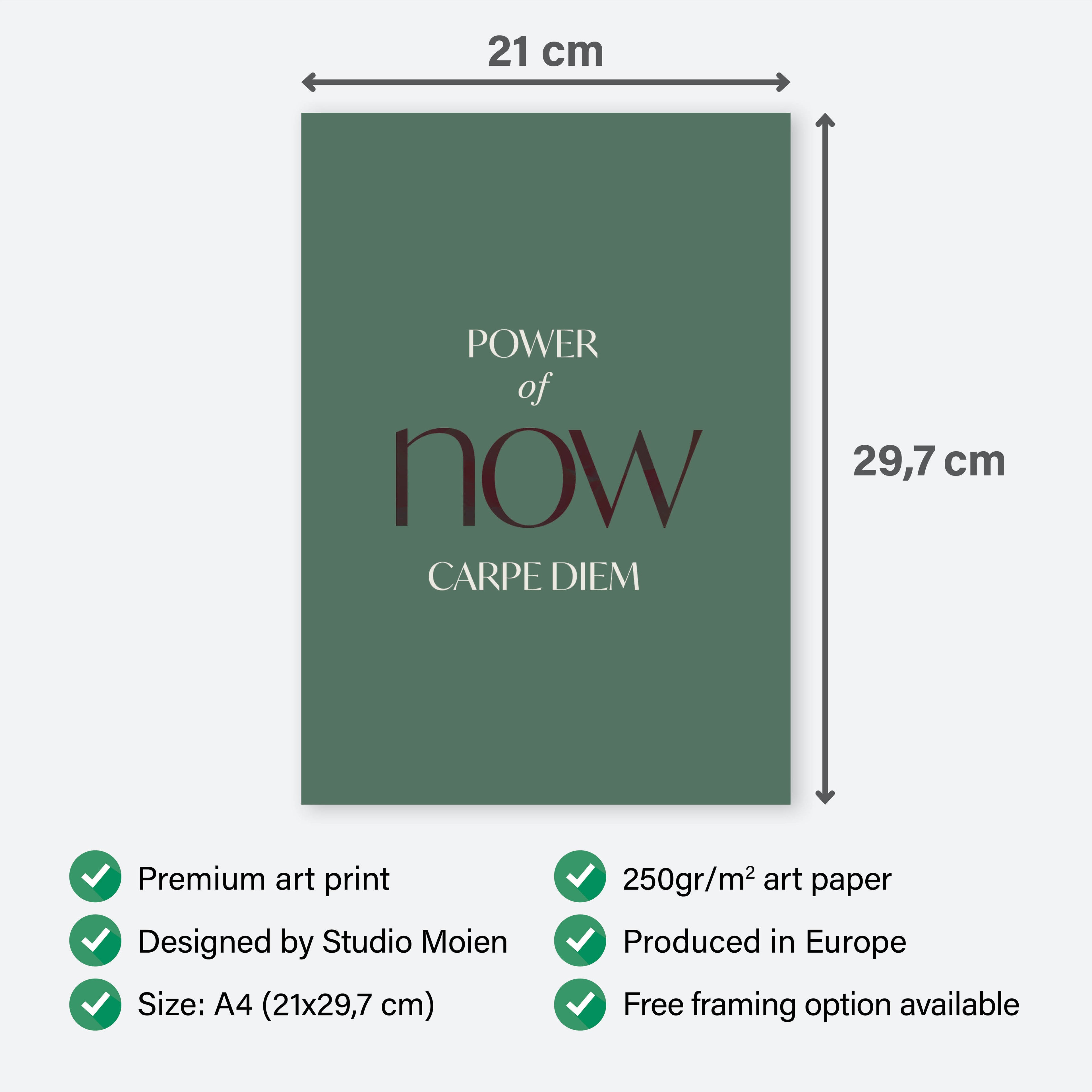 Poster Carpe Diem Scandinavian Poster -Add sophistication to your home