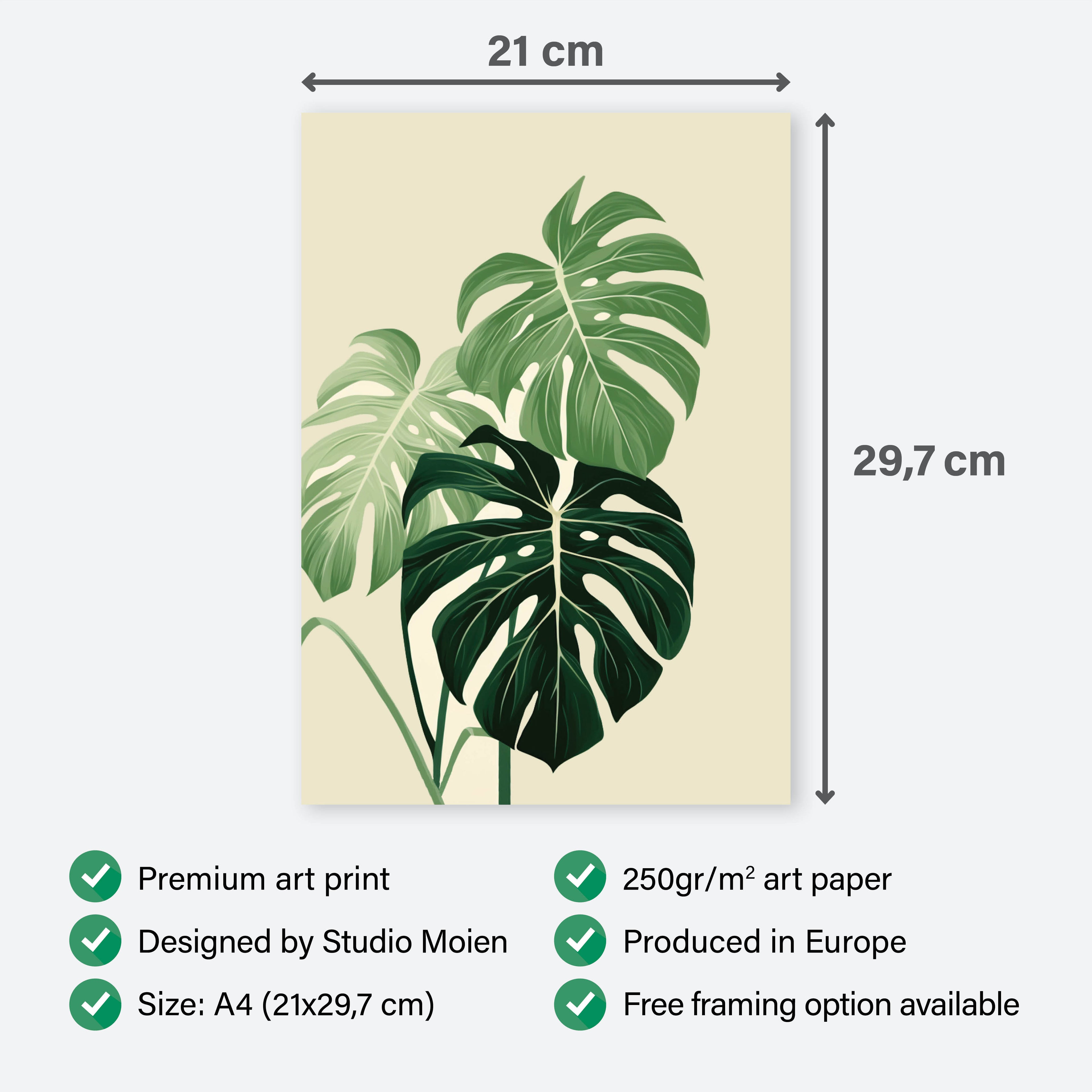 Poster Monstera Scandinavian - Add sophistication to your home