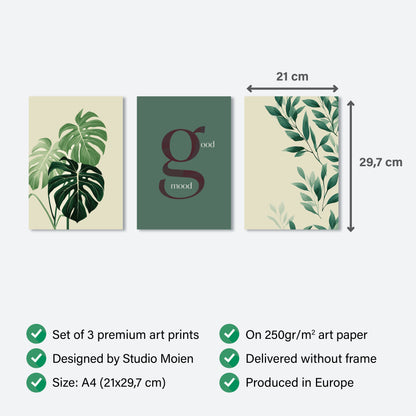 Gallery Wall - Scandinavian Botanical Set -Sophistication to your home